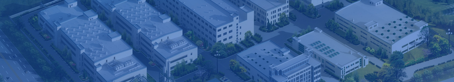 关于91视频成人版下载